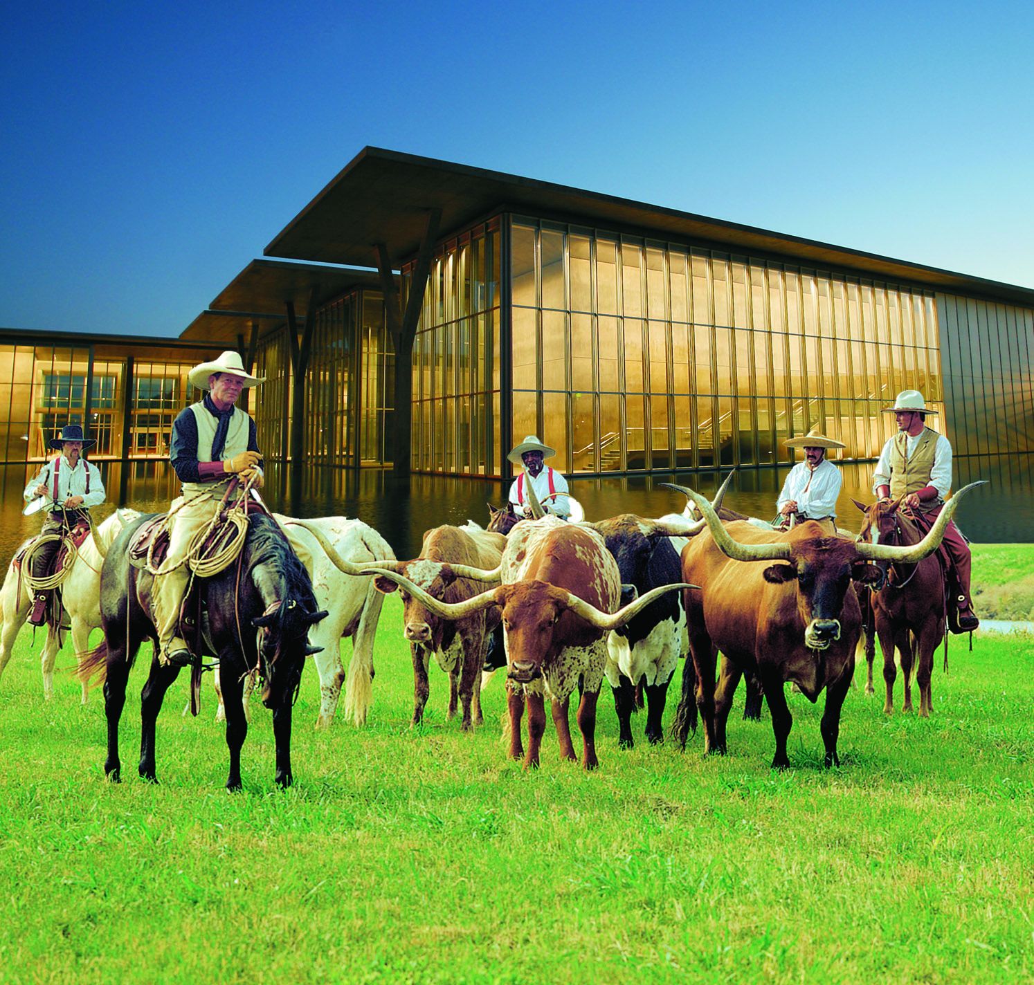Découverte du Texas et sa culture