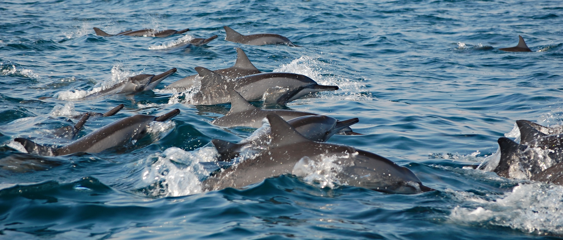 Voyage famille à Oman