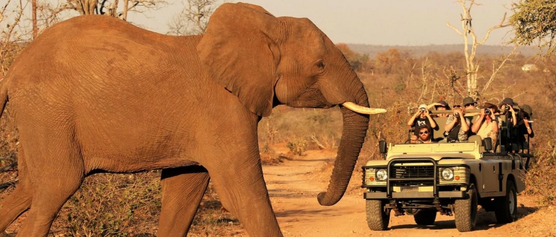Voyage sur-mesure, Safari en famille dans ce nouveau lodge francophone
