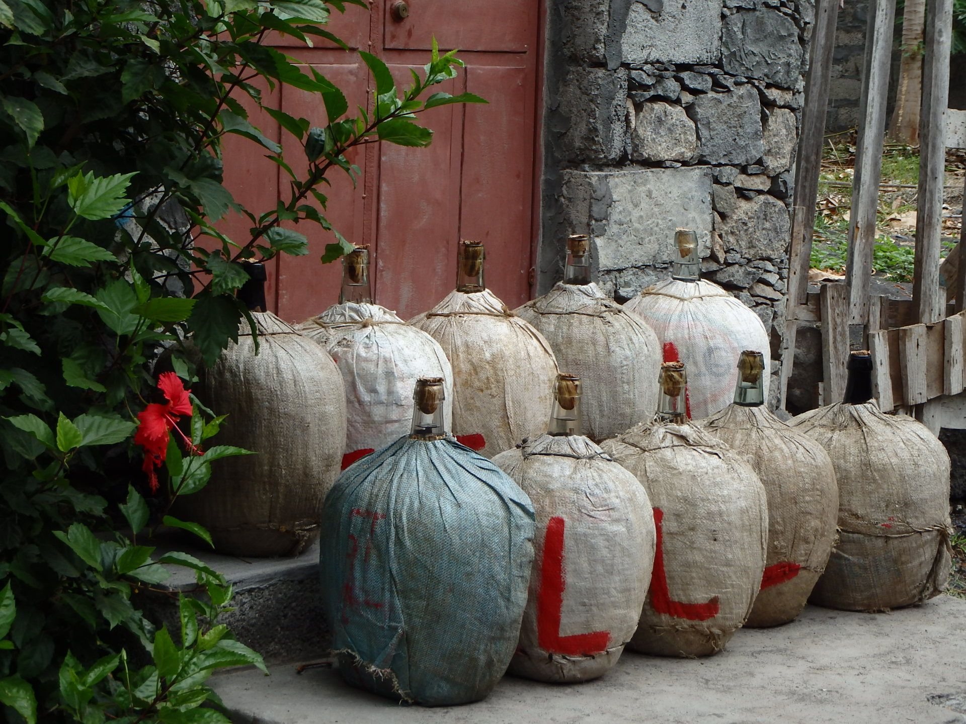 Sao Vicente & Santo Antao : séjour en immersion d'une semaine